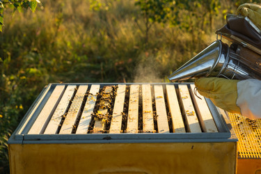 Similar image 22630163