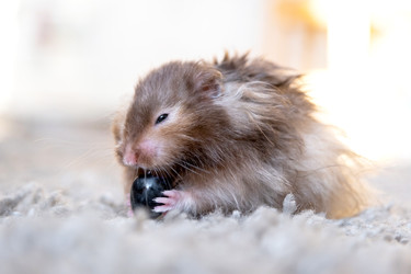 Similar image 22630164