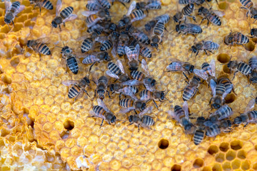 Similar image 22630168