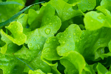 Similar image 22630169