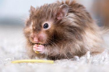 Similar image 22630173