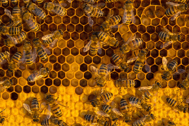 Similar image 22630176