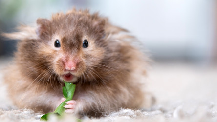 Similar image 22630177