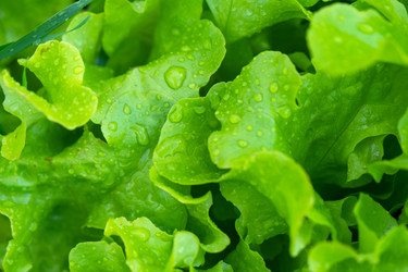 Similar image 22630178