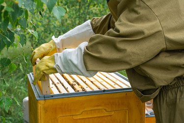 Similar image 22630179