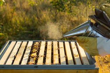 Similar image 22630180