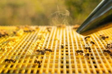 Similar image 22630181