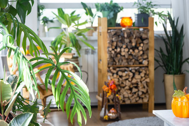 Similar image 22630193