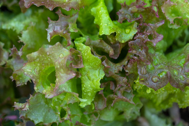 Similar image 22630197