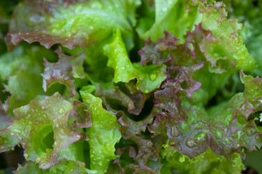 Similar image 22630211