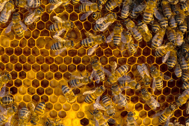 Similar image 22630221