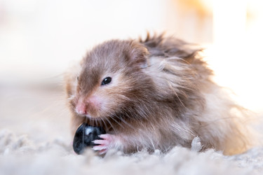 Similar image 22630028