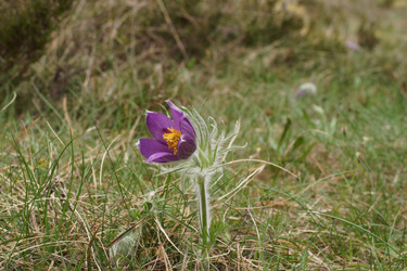 Similar image 22622421