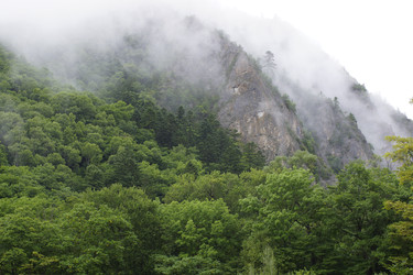 Similar image 22622422