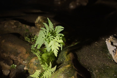 Similar image 22622423