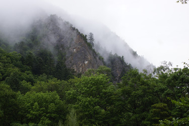 Similar image 22622436