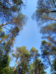 Similar image 22622437