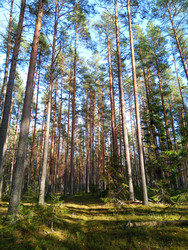 Similar image 22622440