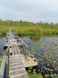 Similar image 22622444