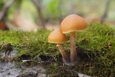 Similar image 22622445