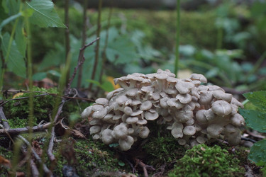 Similar image 22622446