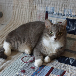 Similar image 22622447