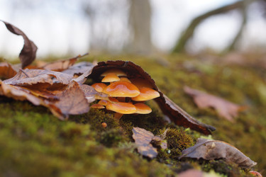 Similar image 22622450