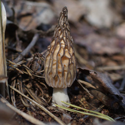 Similar image 22622451