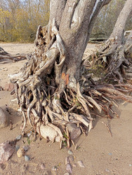 Similar image 22622452