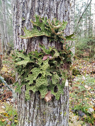 Similar image 22622453