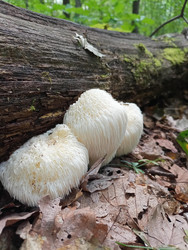 Similar image 22622454