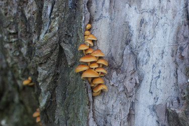 Similar image 22622455