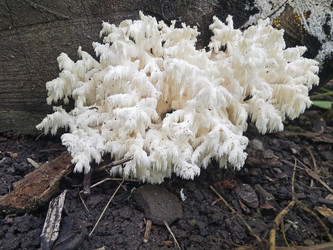 Similar image 22622456