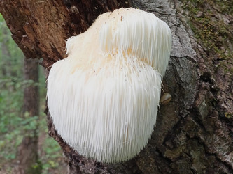 Similar image 22622457