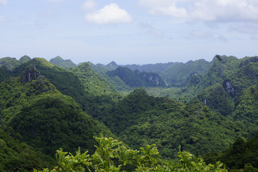 Similar image 22622459