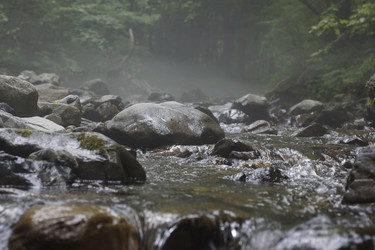 Similar image 22622461