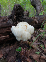 Similar image 22622463