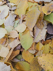 Similar image 22622465