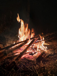 Similar image 22622466