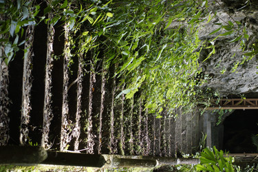 Similar image 22622467