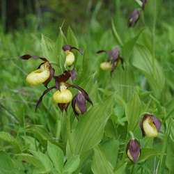 Similar image 22622472