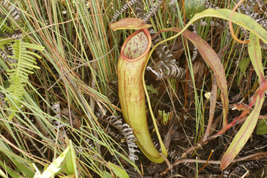 Similar image 22622473