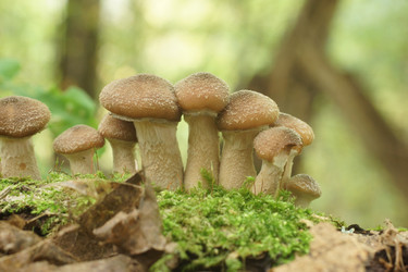 Similar image 22622474