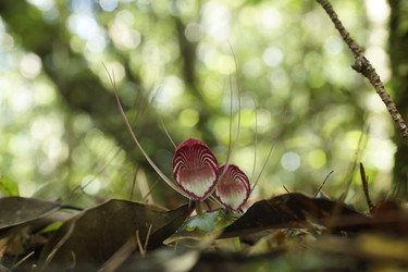 Similar image 22622475