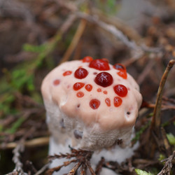 Similar image 22622476