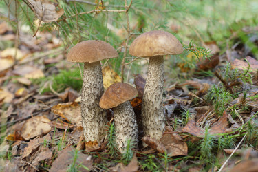 Similar image 22622479