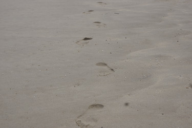 Similar image 22622481