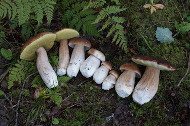 Similar image 22622482