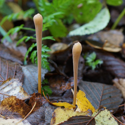 Similar image 22622483