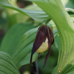 Similar image 22622484